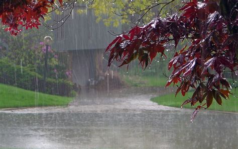 rain pics hd|beautiful pictures of rain.